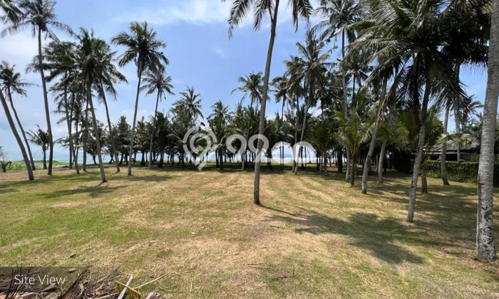 Kavling Tanah untuk Dijual di Canggu, Badung, Luas 10000m2 Kavling Tanah untuk Dijual di Canggu, Badung, Luas 10000m2