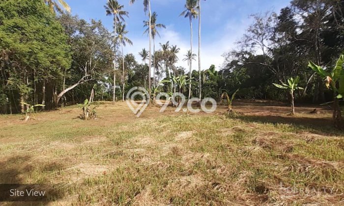 Tanah Strategis Dijual di Kerambitan Tabanan 5300m2 Tanah Strategis Dijual di Kerambitan Tabanan 5300m2