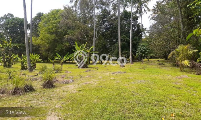 Tanah Strategis Dijual di Kerambitan Tabanan 5300m2 Tanah Strategis Dijual di Kerambitan Tabanan 5300m2