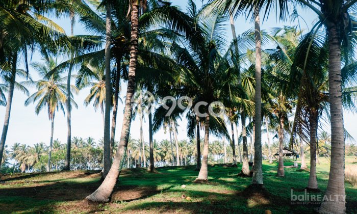 Tanah Dijual di Tabanan Seluas 9000m2 Strategis Tanah Dijual di Tabanan Seluas 9000m2 Strategis