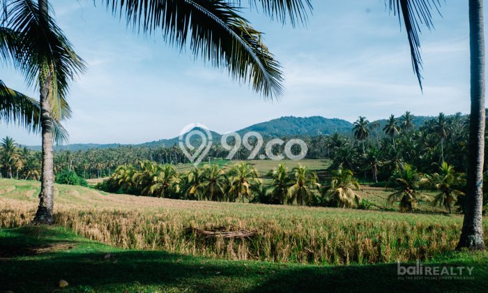 Tanah Dijual di Tabanan Seluas 9000m2 Strategis Tanah Dijual di Tabanan Seluas 9000m2 Strategis