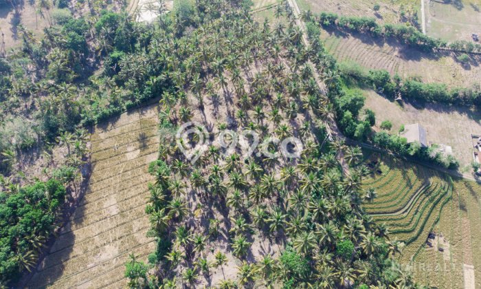 Tanah Dijual di Tabanan Seluas 9000m2 Strategis Tanah Dijual di Tabanan Seluas 9000m2 Strategis