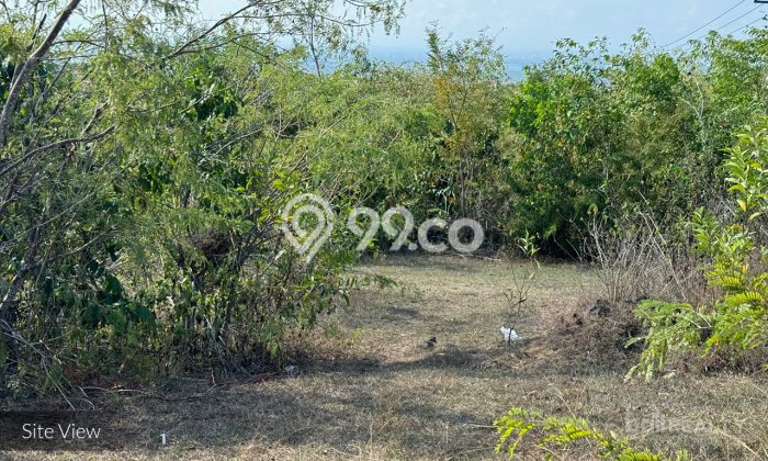 Untuk Dijual Tanah di Badung, Luas 2000m2 - Untuk Dijual Tanah di Badung, Luas 2000m2 -