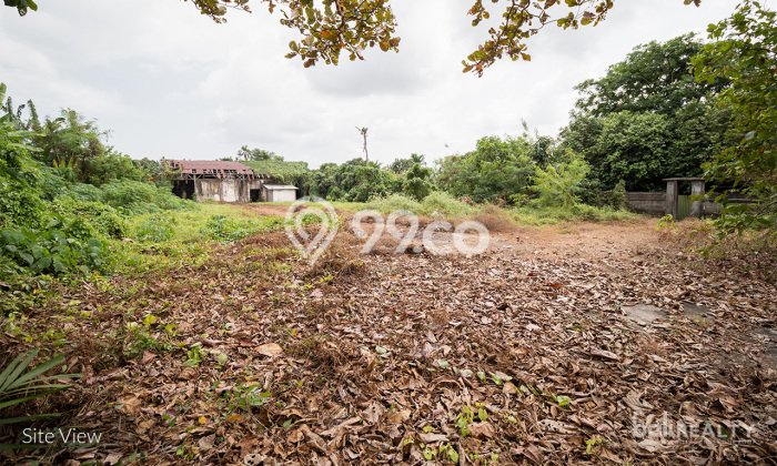 Tanah Kavling Dijual di Tabanan dengan Spesifikasi 3000m2 Tanah Kavling Dijual di Tabanan dengan Spesifikasi 3000m2