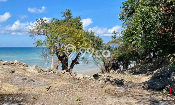 Tanah Komersial Dijual di Rote Barat Daya Rote Ndao 8702m2 Tanah Komersial Dijual di Rote Barat Daya Rote Ndao 8702m2