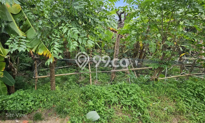 Untuk Dijual Tanah di Badung, Luas 850m2 SHM Untuk Dijual Tanah di Badung, Luas 850m2 SHM