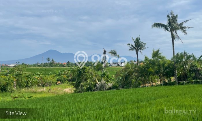 Tanah Dijual di Badung Seluas 3590m2 Strategis Tanah Dijual di Badung Seluas 3590m2 Strategis