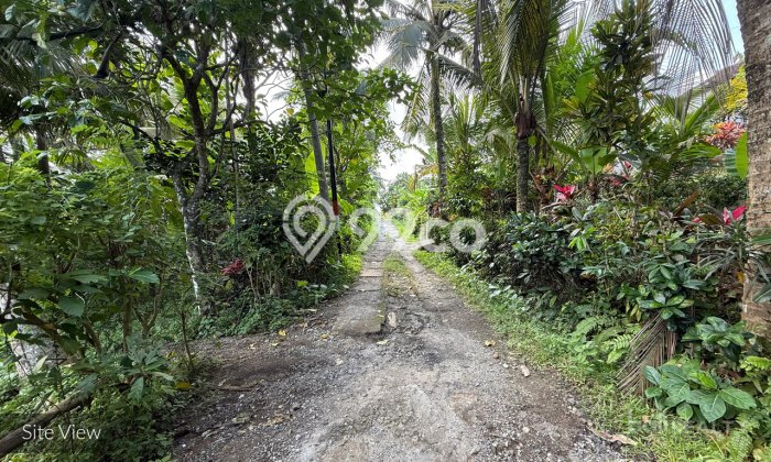 Tanah Kavling untuk Dijual di Tabanan Tabanan 1000m2 Tanah Kavling untuk Dijual di Tabanan Tabanan 1000m2
