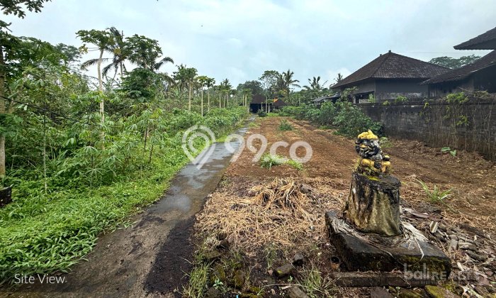 Kavling Tanah Dijual di Tabanan Tabanan Spesifikasi 1800m2 Kavling Tanah Dijual di Tabanan Tabanan Spesifikasi 1800m2