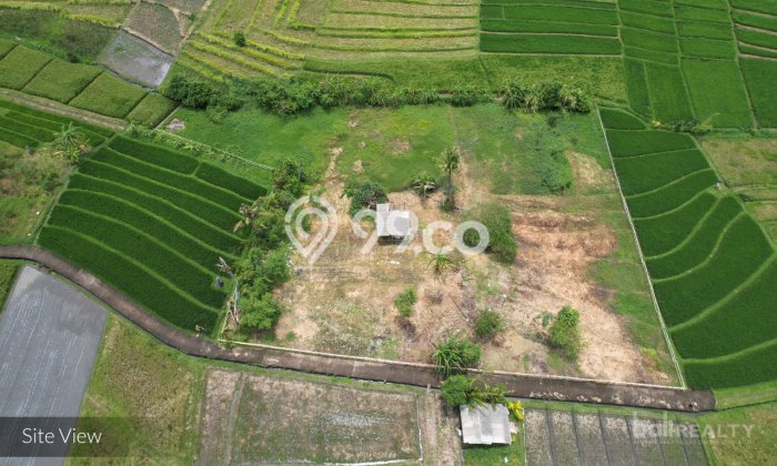 Tanah Dijual di Badung Seluas 3590m2 Strategis Tanah Dijual di Badung Seluas 3590m2 Strategis