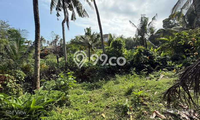 Tanah Kavling untuk Dijual di Tabanan Tabanan 1000m2 Tanah Kavling untuk Dijual di Tabanan Tabanan 1000m2