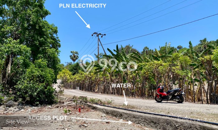 Tanah Komersial Dijual di Rote Barat Daya Rote Ndao 8702m2 Tanah Komersial Dijual di Rote Barat Daya Rote Ndao 8702m2