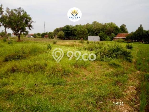 Kavling Tanah Dijual di Kedawung, Cirebon, Luas 550m2 Area Strategis Kavling Tanah Dijual di Kedawung, Cirebon, Luas 550m2 Area Strategis