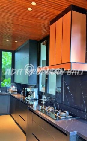 Dijual Rumah Mewah Megah Dengan View Cantik di Canggu, Badung Dijual Rumah Mewah Megah Dengan View Cantik di Canggu, Badung