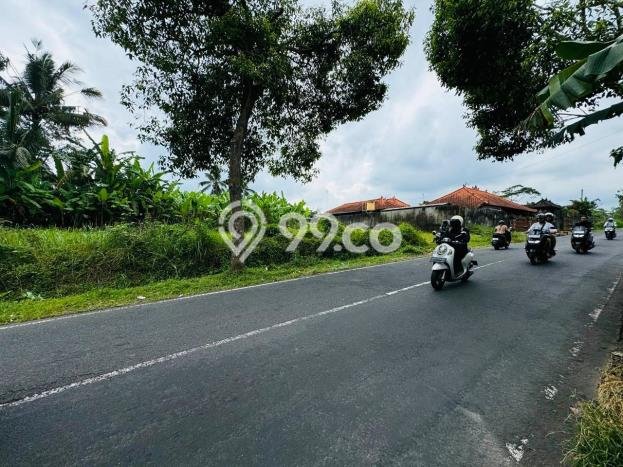 Lahan Investasi Lokasi Ubud Gianyar SHM Lahan Investasi Lokasi Ubud Gianyar SHM