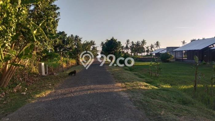 Tanah Dijual Lokasi Strategis di Tabanan dengan Luas 84000m2 Tanah Dijual Lokasi Strategis di Tabanan dengan Luas 84000m2