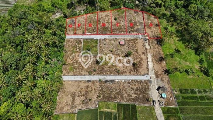 Tanah Kavling Dijual di Tabanan dengan Spesifikasi 260m2 Tanah Kavling Dijual di Tabanan dengan Spesifikasi 260m2