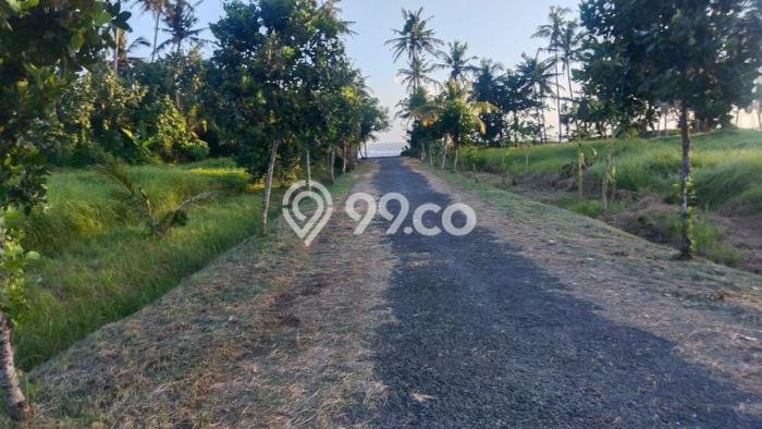 Tanah Dijual Lokasi Strategis di Tabanan dengan Luas 84000m2 Tanah Dijual Lokasi Strategis di Tabanan dengan Luas 84000m2