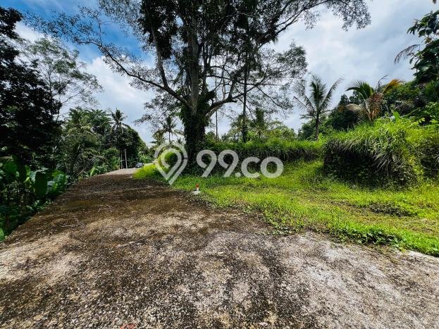 Tanah Kavling di Ubud Dijual dengan Luas 955m2 Tanah Kavling di Ubud Dijual dengan Luas 955m2