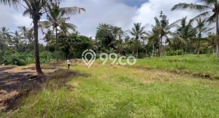 Tanah Kavling di Ubud Dijual dengan Luas 955m2 Tanah Kavling di Ubud Dijual dengan Luas 955m2