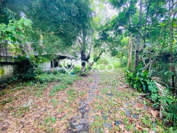 Dijual Tanah di Badung, Luas 15045m2 - Dijual Tanah di Badung, Luas 15045m2 -