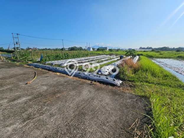 Lahan Kosong Dijual di Tabanan, Tabanan, Luas 500m2 Area Strategis Lahan Kosong Dijual di Tabanan, Tabanan, Luas 500m2 Area Strategis