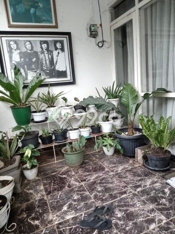 Jual Rumah Favorit Siap Huni LB 55m2 di Pamulang, Tangerang Selatan Jual Rumah Favorit Siap Huni LB 55m2 di Pamulang, Tangerang Selatan
