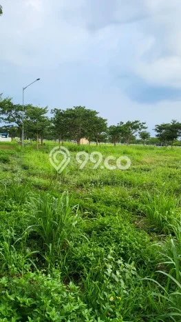 Jarang Ada! Tanah di Penjaringan Punya Luas 1500m2 PPJB Jarang Ada! Tanah di Penjaringan Punya Luas 1500m2 PPJB