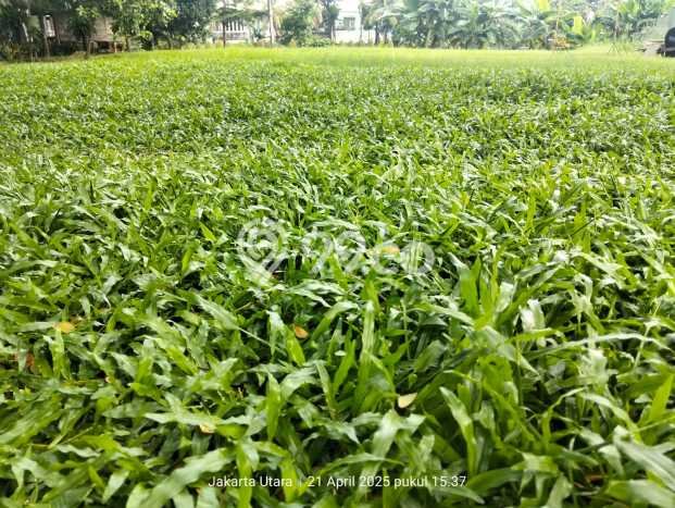 Lahan Kosong Dijual di Penjaringan, Jakarta Utara, Luas 473m2 Area Strategis Lahan Kosong Dijual di Penjaringan, Jakarta Utara, Luas 473m2 Area Strategis