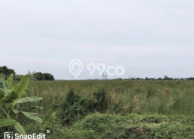 Tanah untuk Dijual di Kosambi Tangerang Luas 976m2 Tanah untuk Dijual di Kosambi Tangerang Luas 976m2