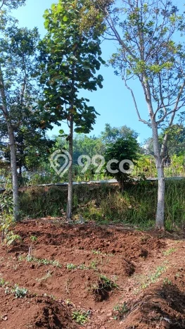 Tanah untuk Dijual di Tarogong Kaler Garut Luas 1520m2 Tanah untuk Dijual di Tarogong Kaler Garut Luas 1520m2