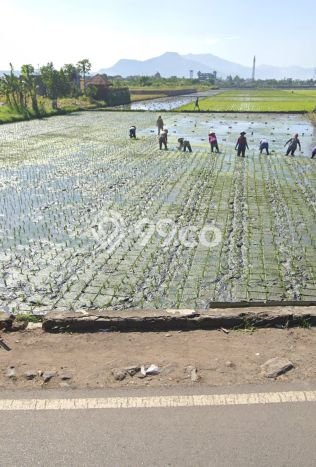 Kavling Tanah untuk Dijual di Gede Bage, Bandung, Luas 40000m2 Kavling Tanah untuk Dijual di Gede Bage, Bandung, Luas 40000m2
