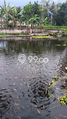 Dijual Hunian Mewah dengan Fasilitas Sekitar Lengkap di Garut Kota, Garut Dijual Hunian Mewah dengan Fasilitas Sekitar Lengkap di Garut Kota, Garut
