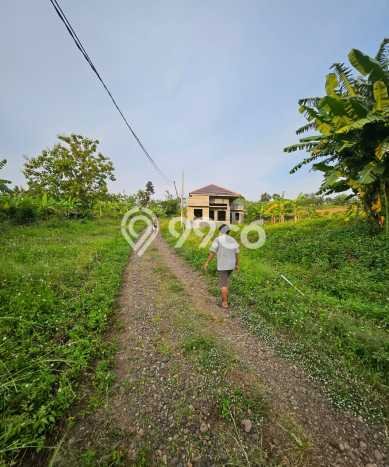 Tanah Dijual Lokasi Ngaliyan, Semarang Luas 8715m2 Legalitas Aman Tanah Dijual Lokasi Ngaliyan, Semarang Luas 8715m2 Legalitas Aman
