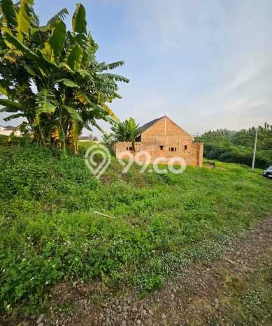 Tanah Dijual Lokasi Ngaliyan, Semarang Luas 8715m2 Legalitas Aman Tanah Dijual Lokasi Ngaliyan, Semarang Luas 8715m2 Legalitas Aman