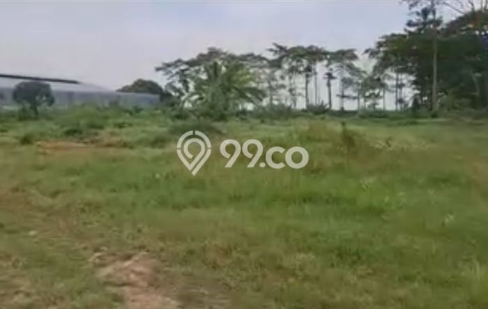 Kavling Tanah di Pati Dijual Luas 23690m2 Legalitas SHM Kavling Tanah di Pati Dijual Luas 23690m2 Legalitas SHM
