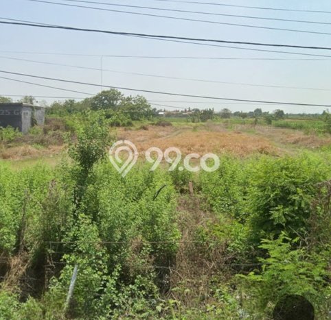 Tanah Lokasi Potensial di Cerme, Luas 50000m2m², Dekat ke Pusat Kota, Dekat Cerme, Gresik, Gresik Tanah Lokasi Potensial di Cerme, Luas 50000m2m², Dekat ke Pusat Kota, Dekat Cerme, Gresik, Gresik