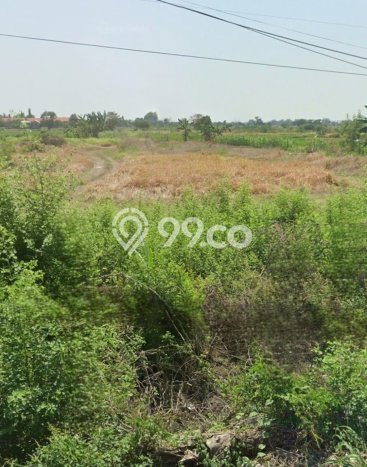 Tanah Lokasi Potensial di Cerme, Luas 50000m2m², Dekat ke Pusat Kota, Dekat Cerme, Gresik, Gresik Tanah Lokasi Potensial di Cerme, Luas 50000m2m², Dekat ke Pusat Kota, Dekat Cerme, Gresik, Gresik