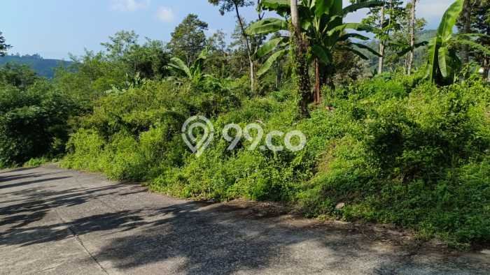 Tanah Kosong Dijual di Mojokerto dengan Area 6300m2 Tanah Kosong Dijual di Mojokerto dengan Area 6300m2