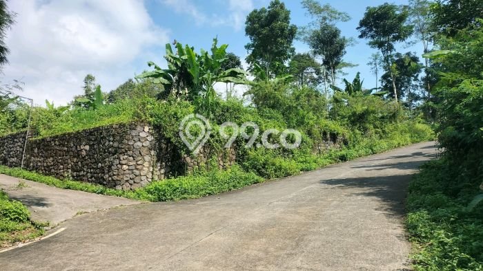 Tanah Kosong Dijual di Mojokerto dengan Area 6300m2 Tanah Kosong Dijual di Mojokerto dengan Area 6300m2