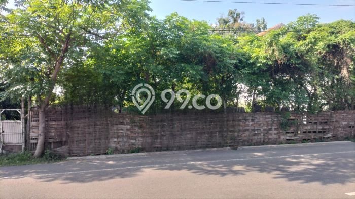 Untuk Dijual Tanah di Mojoagung Jombang Luas 8000m2 SHM Untuk Dijual Tanah di Mojoagung Jombang Luas 8000m2 SHM