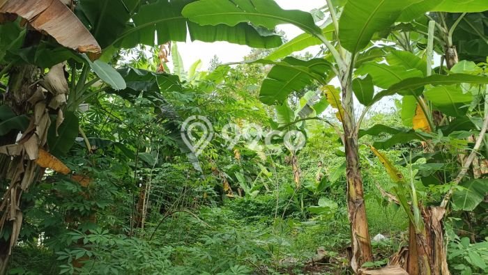 Untuk Dijual Tanah 801m2 di Resor Dago Pakar, Bandung Untuk Dijual Tanah 801m2 di Resor Dago Pakar, Bandung
