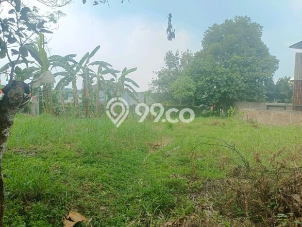 Tanah Investasi Dijual di Bandung Punya Luas 982m2 Tanah Investasi Dijual di Bandung Punya Luas 982m2