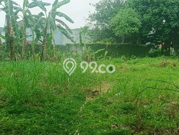 Tanah Investasi Dijual di Bandung Punya Luas 982m2 Tanah Investasi Dijual di Bandung Punya Luas 982m2