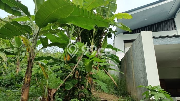 Untuk Dijual Tanah 801m2 di Resor Dago Pakar, Bandung Untuk Dijual Tanah 801m2 di Resor Dago Pakar, Bandung