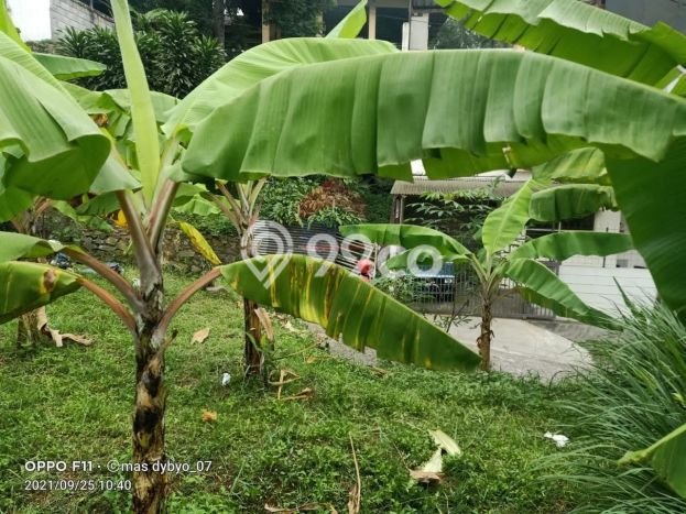 Tanah Dijual di Bandung Seluas 196m2 Strategis Tanah Dijual di Bandung Seluas 196m2 Strategis