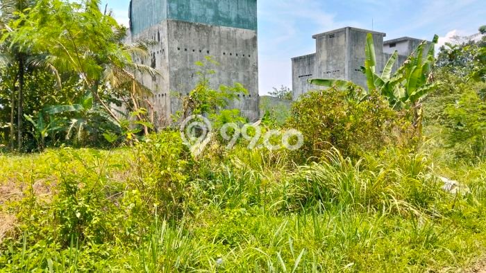 Tanah Komersial Dijual di Ciomas Bogor 300m2 Tanah Komersial Dijual di Ciomas Bogor 300m2