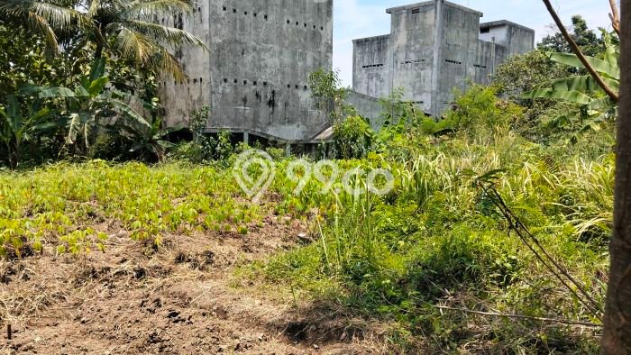 Tanah Komersial Dijual di Ciomas Bogor 300m2 Tanah Komersial Dijual di Ciomas Bogor 300m2