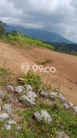 Lahan Dijual Lokasi Parakan Salak, Sukabumi dengan Luas Tanah 13450m2 dan Status - Lahan Dijual Lokasi Parakan Salak, Sukabumi dengan Luas Tanah 13450m2 dan Status -