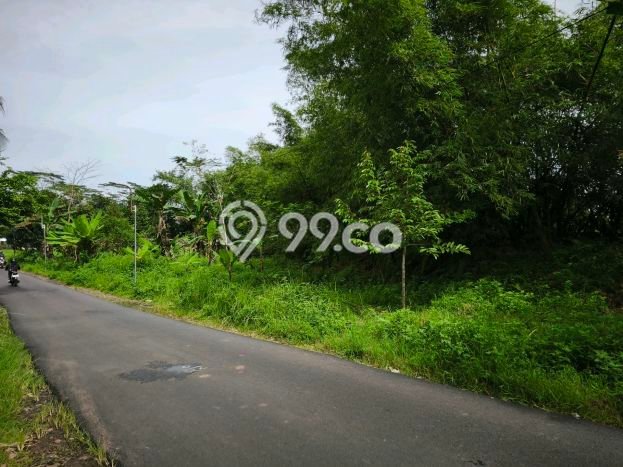 Tanah untuk Dijual di Gunung Pati Semarang Luas 20000m2 Tanah untuk Dijual di Gunung Pati Semarang Luas 20000m2